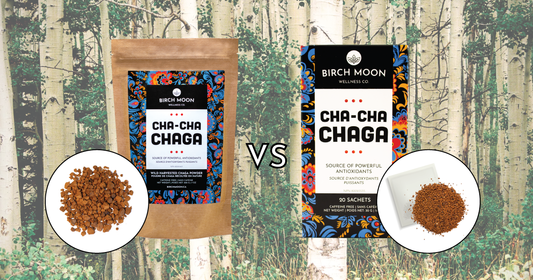 Individual Chaga Tea Bags vs Chaga Loose Powder Bags