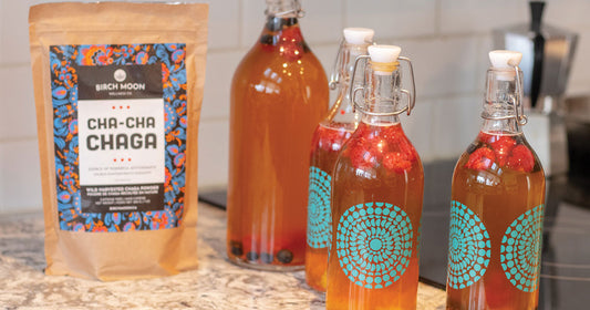 Chaga Kombucha Recipe and it's Health Benefits