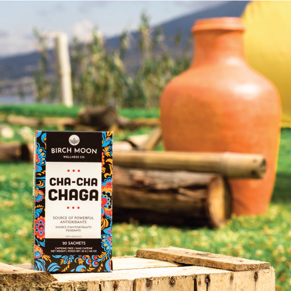 Cha-Cha Chaga Tea – Chaga Mushroom Tea