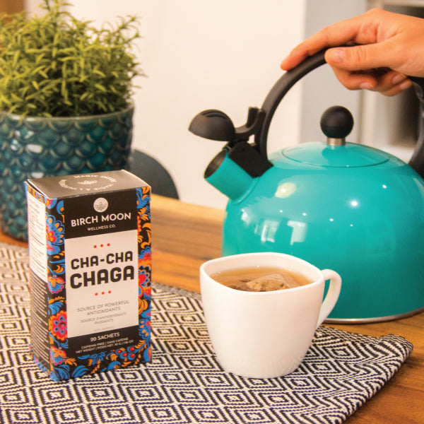 Cha-Cha Chaga Tea – Chaga Mushroom Tea