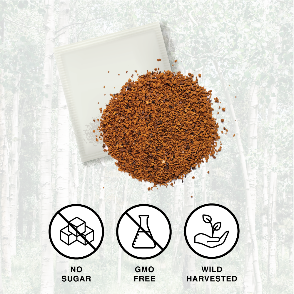 Cha-Cha Chaga Tea – Chaga Mushroom Tea