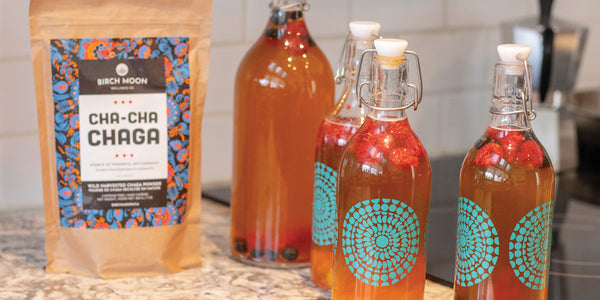 Chaga Kombucha Recipe and it's Health Benefits