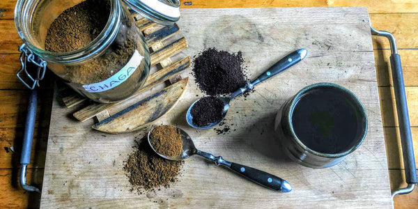 How Long Should You Steep Chaga